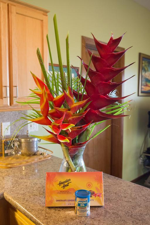 Aloha Aku Inn & Suites Kihei Bilik gambar