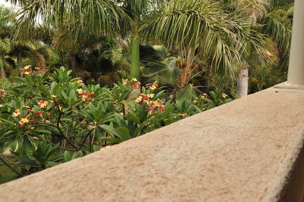 Aloha Aku Inn & Suites Kihei Bilik gambar